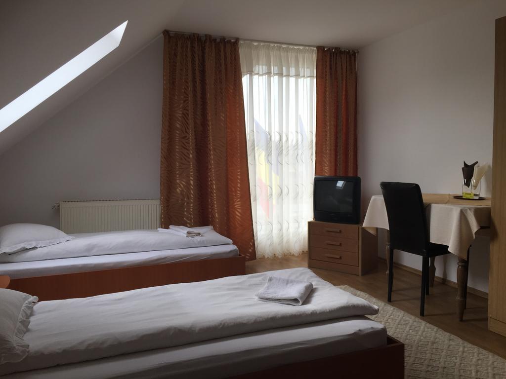 Pensiunea Domnika Dej Habitación foto